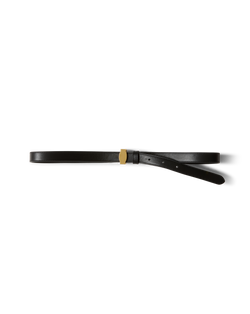 Dash Belt