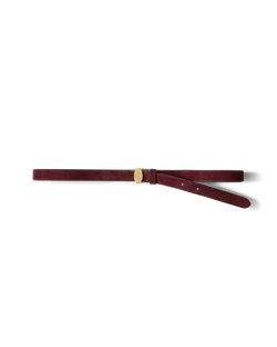 Dash Belt